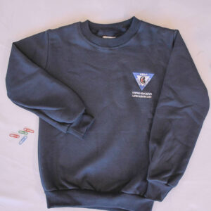 BUZO FRISA AZUL CEL