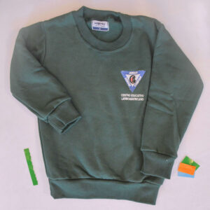 BUZO FRISA VERDE CEL